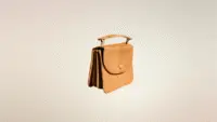 Accordian bag