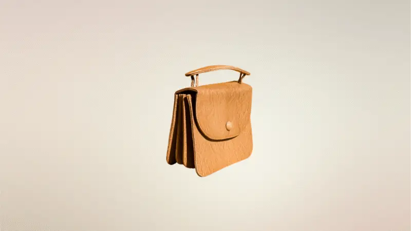 Accordian bag